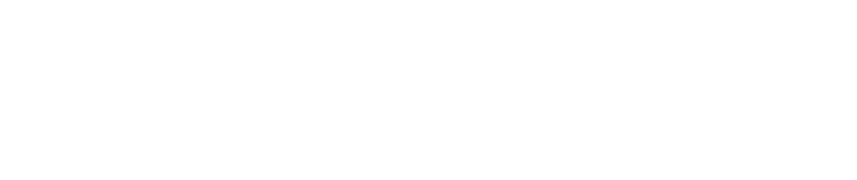bruine_boon_logo_wit